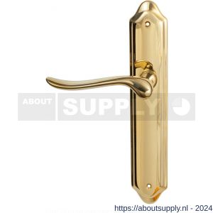 Mandelli1953 690L Rondo deurkruk gatdeel op langschild 260x47 mm blind linkswijzend messing gepolijst - S21013603 - afbeelding 1