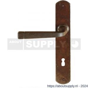 Utensil Legno FM043L/R deurkruk gatdeel op schild 245x40 mm blind links-rechtswijzend roest - S21007042 - afbeelding 1