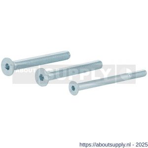 GPF Bouwbeslag GPFAG0339 binnenzeskantbout set PK DIN 7991 10.9 galvanisch verzinkt voor set veiligheids schilden tot deurdikte 114 mm 2x M8x120-1x M6x120 mm - S21019938 - afbeelding 1