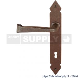 Utensil Legno FM375L/R deurkruk gatdeel op schild 245x35 mm blind links-rechtswijzend roest - S21007225 - afbeelding 1