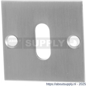 GPF Bouwbeslag RVS 0901.08 sleutelrozet plat vierkant 50x50x2 mm RVS geborsteld - S21003732 - afbeelding 1