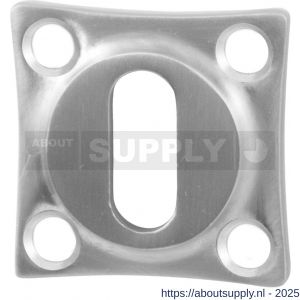 GPF Bouwbeslag RVS 0901.09 sleutelrozet klassiek 38x38x5 mm RVS geborsteld - S21003733 - afbeelding 1