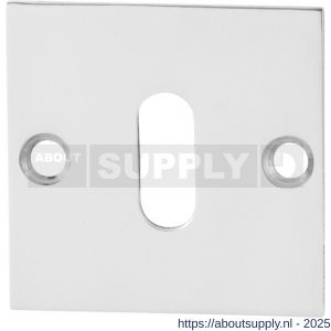 GPF Bouwbeslag RVS 0901.48 sleutelrozet plat vierkant 50x50x2 mm RVS gepolijst - S21003739 - afbeelding 1