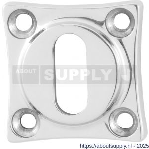 GPF Bouwbeslag RVS 0901.49 sleutelrozet klassiek 38x38x5 mm RVS gepolijst - S21003740 - afbeelding 1