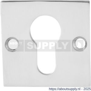 GPF Bouwbeslag RVS 0902.48 cilinderrozet plat vierkant 50x50x2 mm RVS gepolijst - S21003561 - afbeelding 1