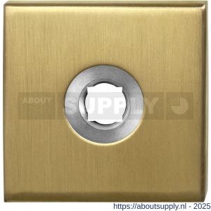 GPF Bouwbeslag PVD 1100.02P4L vierkant click rozet 50x50x8 mm linkswijzend PVD mat messing - S21003646 - afbeelding 1