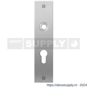 GPF Bouwbeslag RVS 1100.16L/R PC55 deurkruk gatdeel links-rechtswijzend plaatschild rechthoekig zonder veer 181x41x2 mm PC55 RVS geborsteld - S21003995 - afbeelding 1