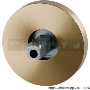 GPF Bouwbeslag PVD GPF1100.P4.0400 rozet rond 50x8 mm met vastgelaste knopvastzetter PVD mat messing - S21019985 - afbeelding 1