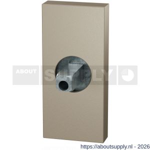 GPF Bouwbeslag Anastasius GPF1101.A4.0400 rechthoekig Click rozet 70x32x10 mm met vastgelaste knopvastzetter Champagne blend - S21016821 - afbeelding 1