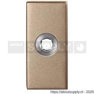 GPF Bouwbeslag Anastasius 1101.A4 rechthoekig click rozet 70x32x10 mm Champagne blend - S21016702 - afbeelding 1