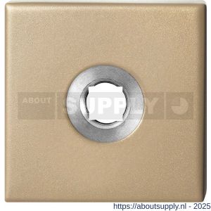 GPF Bouwbeslag Anastasius 1102.A4 vierkant click rozet 50x50x8 mm Champagne blend - S21011363 - afbeelding 1