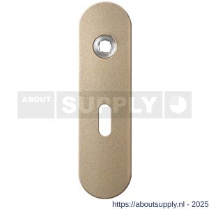 GPF Bouwbeslag Anastasius 1110.A4R BB56 deurkruk gatdeel rechtswijzend kortschild afgerond 169x46x8,5 mm BB56 Champagne blend - S21012485 - afbeelding 1