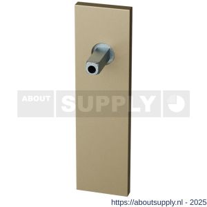 GPF Bouwbeslag Anastasius 1115.A4.401 BB56 kortschild rechthoekig 170x46x8 mm BB56 met vastgelaste Champagne blend - S21016884 - afbeelding 1