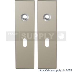 GPF Bouwbeslag Anastasius 1115.A4 BB56 kortschild rechthoekig enkelverend 169x46x8,5 mm BB56 Champagne blend - S21012541 - afbeelding 1