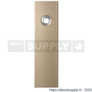 GPF Bouwbeslag Anastasius 1115.A4R blind deurkruk gatdeel rechtswijzend kortschild rechthoekig 169x46x8,5 mm blind Champagne blend - S21012548 - afbeelding 1