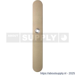 GPF Bouwbeslag Anastasius 1170.A4R blind deurkruk gatdeel rechtswijzend langschild afgerond 282x40x8,5 mm blind Champagne blend - S21012612 - afbeelding 1