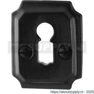 GPF Bouwbeslag Smeedijzer 6901.02 sleutelrozet rechthoekig 48x40x6 mm smeedijzer zwart - S21003746 - afbeelding 1