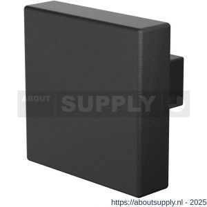 GPF Bouwbeslag ZwartWit 8950.61 S3 vierkante knop 60x60x16 mm vast met metaalschroef M10 zwart - S21010489 - afbeelding 1