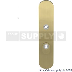 GPF Bouwbeslag PVD 9008.55P4 veiligheids buitenschild SKG*** 248x52x11 mm afgerond met kerntrekbeveiliging PC55 massief PVD mat messing - S21006517 - afbeelding 1
