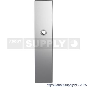GPF Bouwbeslag RVS 9012.00 veiligheids buitenschild SKG*** 248x52x11 mm rechthoekig blind met krukgat RVS geborsteld - S21004759 - afbeelding 1