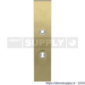 GPF Bouwbeslag PVD 9018.55P4 veiligheids buitenschild SKG*** 248x52x11 mm rechthoekig met kerntrekbeveiliging PC55 massief PVD mat messing - S21006520 - afbeelding 1
