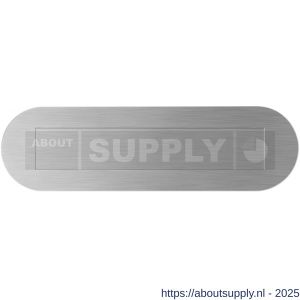 GPF Bouwbeslag RVS 9835.09 briefplaat ovaal 350x100x2,5 mm met rechthoekige verende vlakke binnenklep RVS geborsteld - S21007972 - afbeelding 1