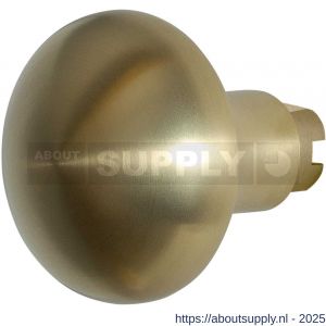 GPF Bouwbeslag PVD 9859.P4 S5 Paddenstoel knop 52 mm voor veiligheids schilden vast met wisselstift PVD mat messing - S21010518 - afbeelding 1