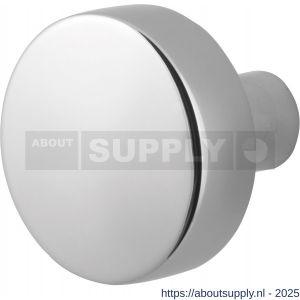 GPF Bouwbeslag RVS 9952.49 S1 vlakke knop 52x16 mm draaibaar met krukstift RVS gepolijst - S21008079 - afbeelding 1