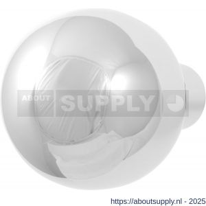 GPF Bouwbeslag RVS 9954.49 S1 kogelknop 50 mm draaibaar met krukstift RVS gepolijst - S21008080 - afbeelding 1
