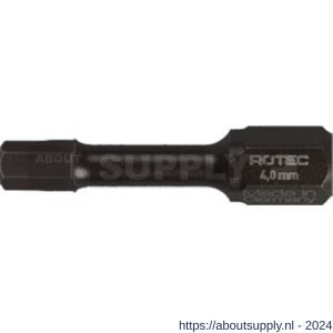 Rotec 817 Impact insert schroefbit inbus SW 3,0x30 mm C6.3 Basic set 10 stuks - S50910772 - afbeelding 1
