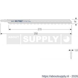 Rotec 520 decoupeerzaagblad DC875 T1013AWP set 2 stuks - S50907089 - afbeelding 2