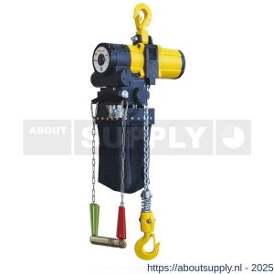 Delta pneumatische kettingtakel 1 ton met 10 m hijshoogte 1 part Atex zone 2 - S53101677 - afbeelding 1