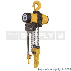 Delta pneumatische kettingtakel 10 ton met 10 m hijshoogte 2 part Atex zone 2 - S53101680 - afbeelding 1