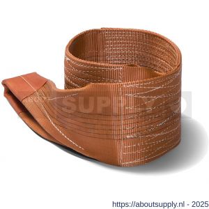 Deltasling hijsband 6 ton 2 m - S53100130 - afbeelding 1