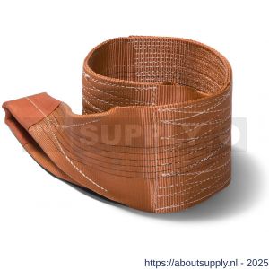 Deltasling hijsband 12 ton 5 m - S53100149 - afbeelding 1