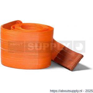 Deltasling hijsband 10 ton 3 m - S53100084 - afbeelding 1
