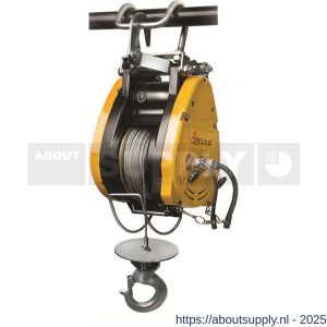 Delta elektrische karweilier DKL 230 V 0,16 ton met standaard 28 m hijshoogte - S53101134 - afbeelding 1
