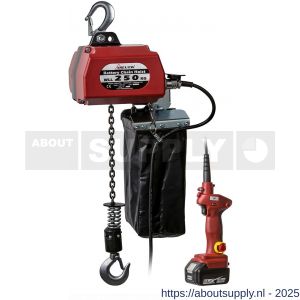 Delta batterij kettingtakel 18 V DC 0,25 ton 10 m hijshoogte - S53101512 - afbeelding 1