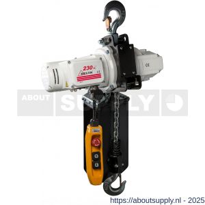Delta elektrische kettingtakel US 230 V 1 ton met 3 m hijshoogte enkele snelheid 1 part - S53101655 - afbeelding 1