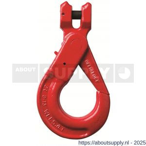Deltalock Grade 80 veiligheids gaffelhaken met grip 1,12 ton - S53100911 - afbeelding 1