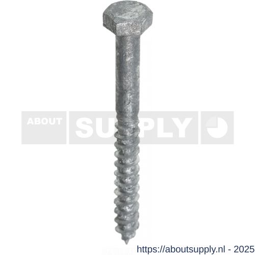 ASF houtdraadbout DIN 571 6x60 mm thermisch verzinkt - S40810102 - afbeelding 1
