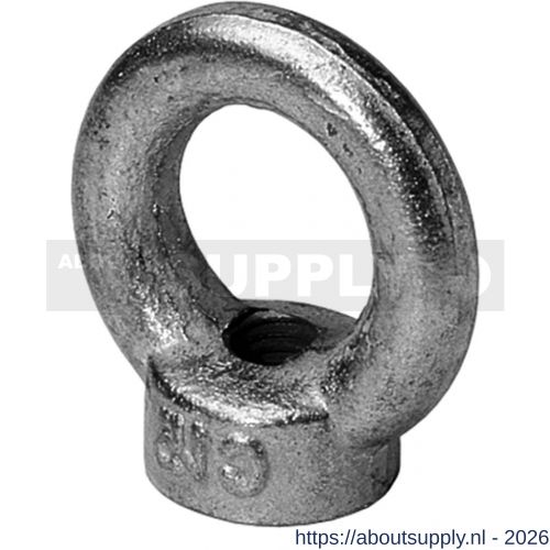 Steelies Ultimate oogmoer DIN 582 M8 RVS A4 - S40860485 - afbeelding 1