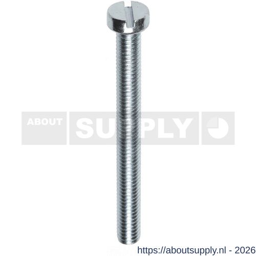 Steelies Ultimate metaalschroef DIN 84A M6x25 mm cilinderkop verzinkt - S40861068 - afbeelding 1