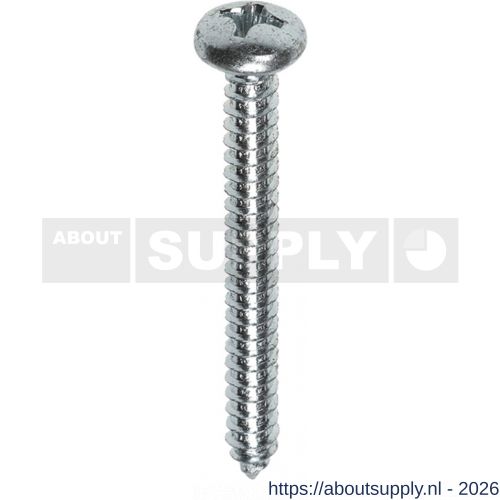 Steelies Ultimate plaatschroef DIN 7981C-H 4,2x45 mm Phillips PH 2 verzinkt - S40861303 - afbeelding 1