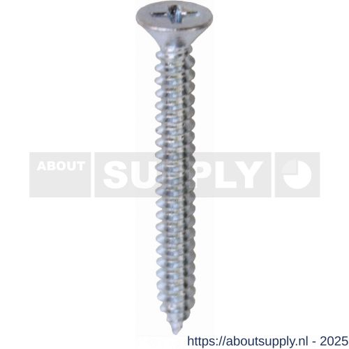 Steelies Ultimate plaatschroef DIN 7982C-H 2,9x19 mm Phillips PH 1 verzinkt - S40861327 - afbeelding 1