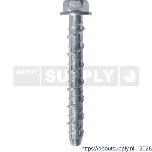 FM CLR betonanker 10x60/10 mm zeskant met flens verzinkt - S40885803 - afbeelding 1
