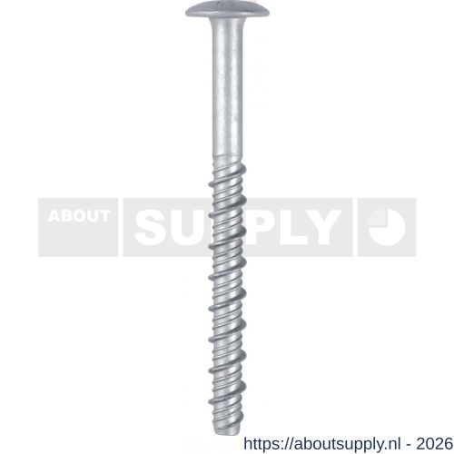 FM CLR6-P betonanker 7.5x60/5 mm cilinderkop Torx T 30 verzinkt - S40885820 - afbeelding 1