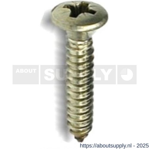 ASF plaatschroef DIN 7983C-Z 4.8x120 mm Pozidriv PZ RVS A4 - S40823918 - afbeelding 1
