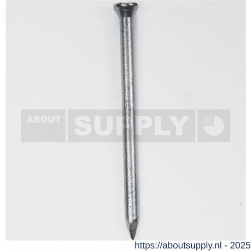 HJZ Profi nagel 1.6x35 mm plat-conisch kop verzinkt - S40870303 - afbeelding 1