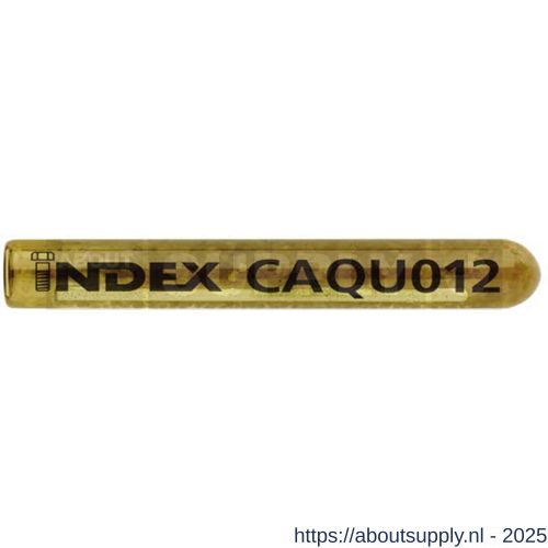 Index CA-QU chemisch anker 20x170 mm diameter 25 mm ETA optie 8 - S40900833 - afbeelding 1